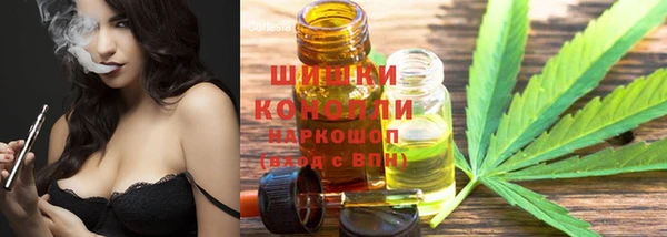 ГАЛЛЮЦИНОГЕННЫЕ ГРИБЫ Ельня