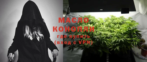 ГАЛЛЮЦИНОГЕННЫЕ ГРИБЫ Ельня