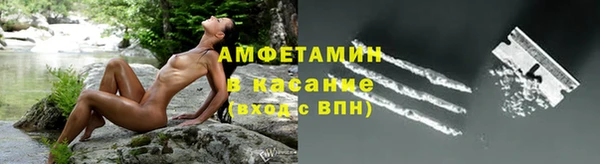 ГАЛЛЮЦИНОГЕННЫЕ ГРИБЫ Ельня
