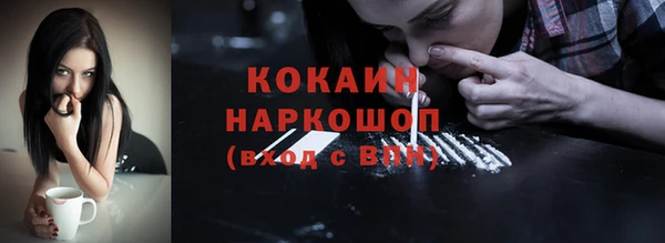 ГАЛЛЮЦИНОГЕННЫЕ ГРИБЫ Ельня