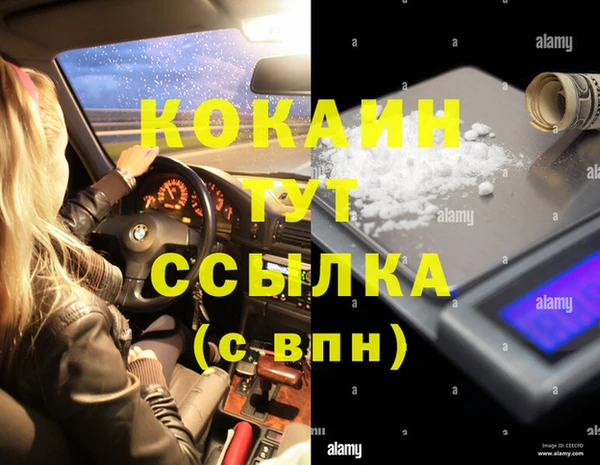 ГАЛЛЮЦИНОГЕННЫЕ ГРИБЫ Ельня