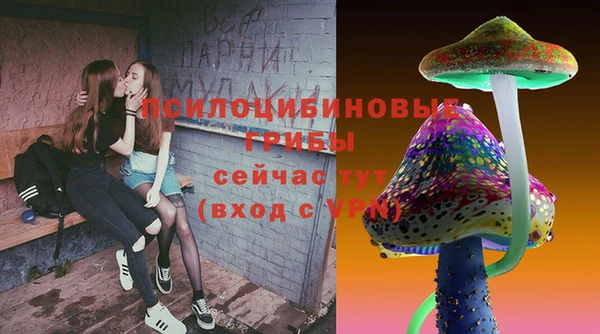 ГАЛЛЮЦИНОГЕННЫЕ ГРИБЫ Ельня