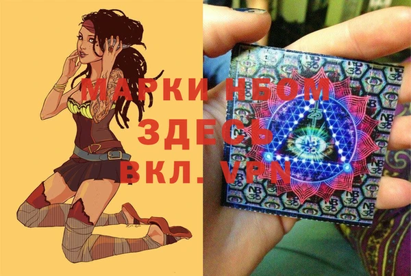 ГАЛЛЮЦИНОГЕННЫЕ ГРИБЫ Ельня