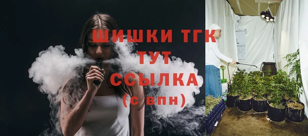 твердый Елизово